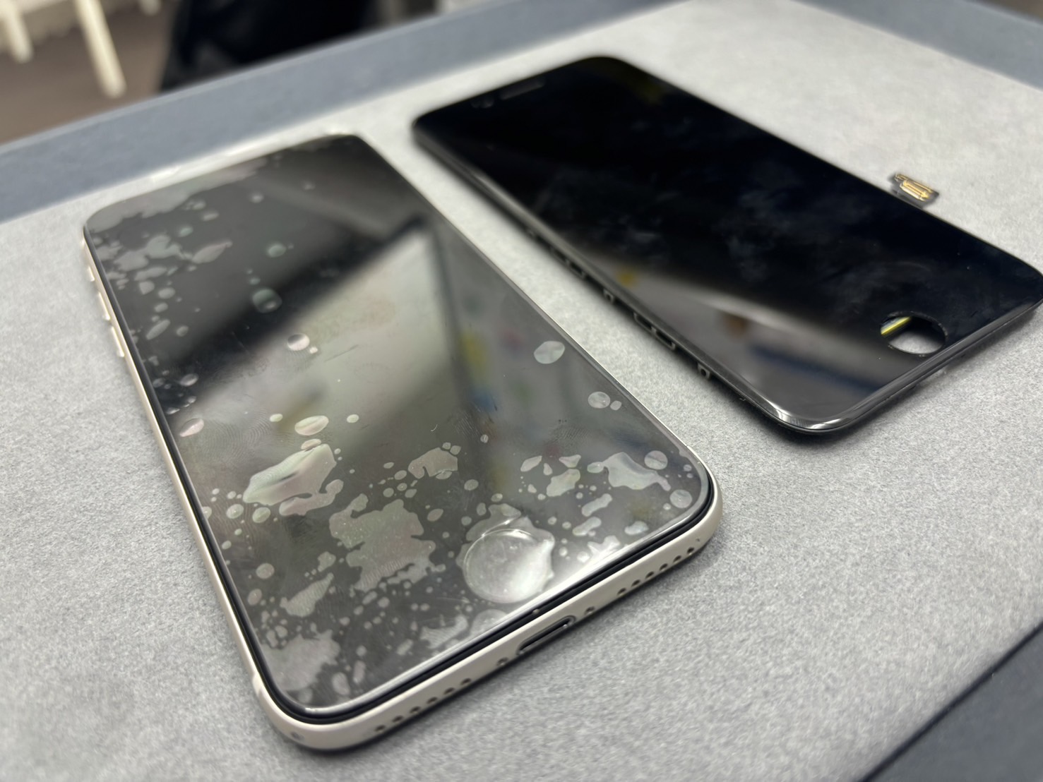 iPhoneSE3のホームボタン故障修理を行いました！！【iPhone・iPad修理